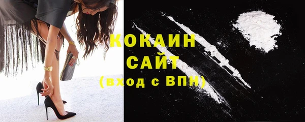 прущие грибы Баксан