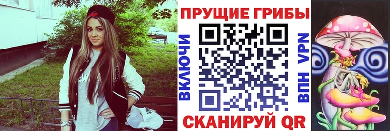 Псилоцибиновые грибы прущие грибы  Тольятти 